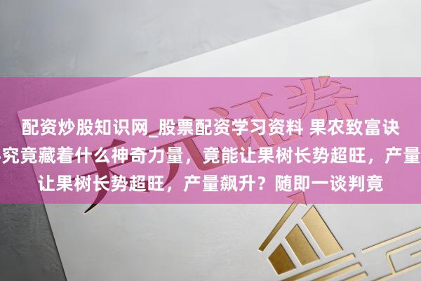 配资炒股知识网_股票配资学习资料 果农致富诀要大揭秘！涂杆肥料究竟藏着什么神奇力量，竟能让果树长势超旺，产量飙升？随即一谈判竟