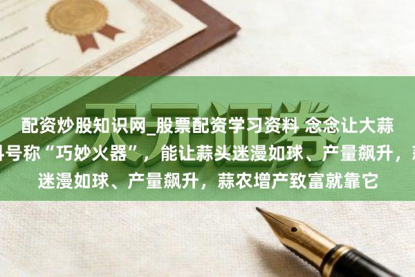 配资炒股知识网_股票配资学习资料 念念让大蒜增产？这些专用肥料号称“巧妙火器”，能让蒜头迷漫如球、产量飙升，蒜农增产致富就靠它