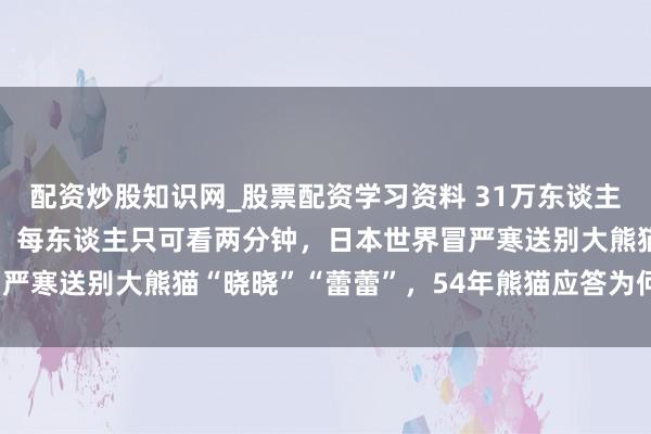 配资炒股知识网_股票配资学习资料 31万东谈主报名4400东谈主中签，每东谈主只可看两分钟，日本世界冒严寒送别大熊猫“晓晓”“蕾蕾”，54年熊猫应答为何走到至极？