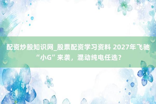 配资炒股知识网_股票配资学习资料 2027年飞驰“小G”来袭，混动纯电任选？